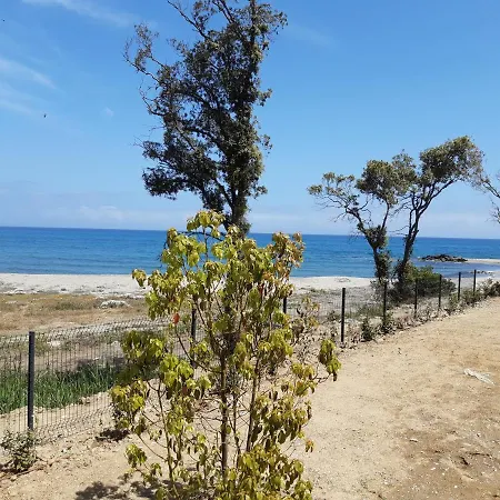 Les Pieds Dans L'eau Vue Sur *