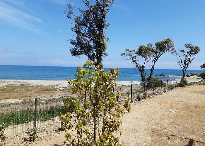 Les Pieds Dans L'eau Vue Sur *